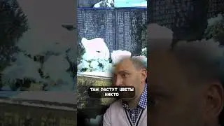 Розжиг ненависти в Украине #shorts