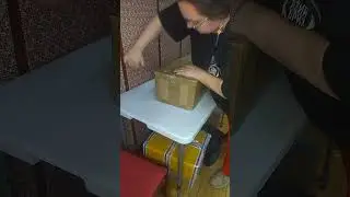 Распаковка Хуа Чена от RING DOLL