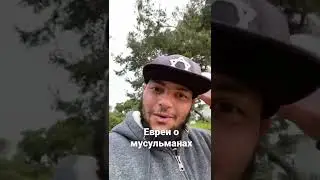 A conversation between two Jews about Muslims 