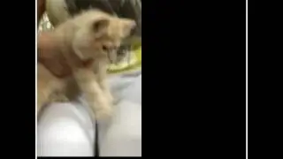 قحبة لا تشاهدون الفيديو