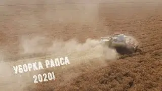 Уборка Рапса 2020! Комбаин Class Lexion!