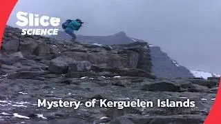 Exploring the Remote Kerguelen Islands | SLICE SCIENCE | FULL DOC