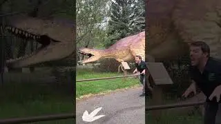 The Most Epic Dinosaur Battle You've Ever Seen