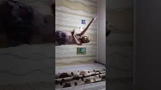 24 июня 2024 г.