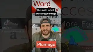 Today's word of the day is plumage. #wordoftheday