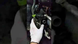 Установка, диагностика, ремонт вебасто WEBASTO +7 915 095 77 20