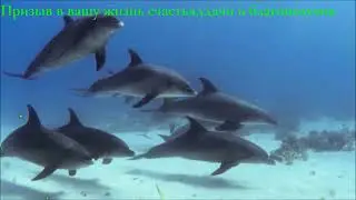 🔮Призыв удачи, счастья и благополучия❤️