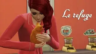 LE REFUGE DE LILY   -  SIMS 4