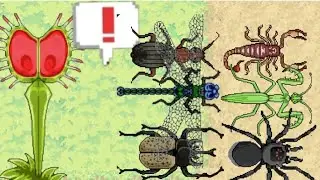 прокачал мухоловку (pocket ants симулятор колонии)