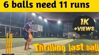 Box Cricket: The Ultimate Thrill and Intensity!