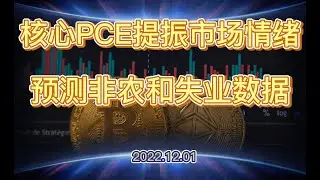 核心PCE虽然继续提振风险市场的情绪，但周内更大的博弈还是非农和失业率——2022.12.01