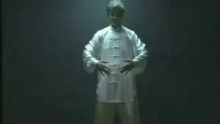 QI GONG SOARING CRANE