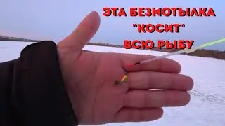 Рыбалка на безмотылку. Надубасил МНОГО разной рыбы.