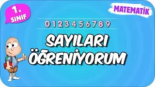 Sayıları Öğreniyorum 📘 1.Sınıf Matematik 