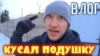 VLOG: В ШОКЕ ОТ РОДИТЕЛЕЙ / СЛОВИЛ НЕОБЫЧНУЮ МЫШЬ / ХВАТИТ ЛИ ДРОВ / БРУСКИ В ДОМ ремонт дома