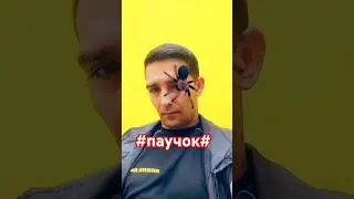#паук #повар #долинов