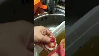 Легко справилась с сыроежкой.... файбером для посуды....