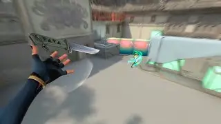 This Crosshair is a cheat in Valorant
