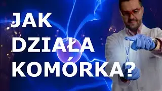 Jak działa komórka? Organella komórkowe. Wprowadzenie do tematu biologii komórki. #nauka