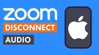 Two ways to disconnect audio on Zoom for iPhone 