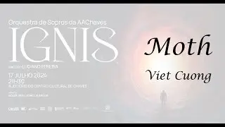 Moth - Viet Cuong