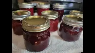 Blueberry Jam in a Blender!