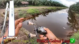 KILLER‼️ PARIT" SAWIT DISINI SEMANG PENUH DENGAN PREDATOR | CASTING IKAN GABUS