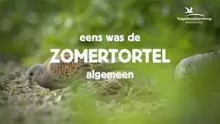 Vogelbescherming Nederland