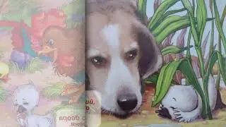Гідке качення. Буктрейлер.