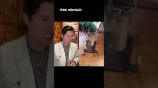 How? 🙄 