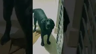 Tumhe bhokana pasand hai | muze bhoate huve tum