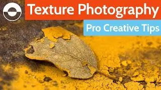Texture Photography – Pro Tips for Super Creative Compositions