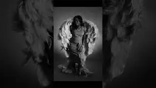 One Set of Angel Wings So Many Options