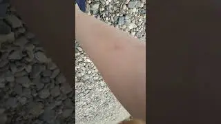рыбалка на речке часть 2