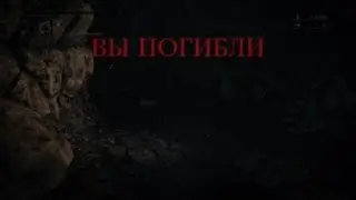 Bloodborne Cheaters