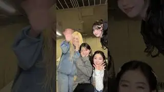 〰️🐶🐻🐰😻〰️
