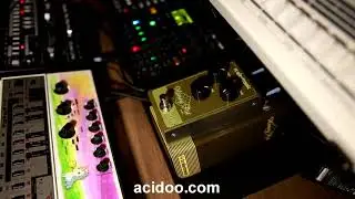TC Electronic Honey Pot Fuzz - RE-303