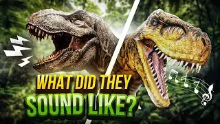 Dinosaur sounds! | What did Tyrannosaurus, Parasaurolophus and Ankylosaurus sound like?