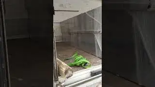 21 января 2021 г.