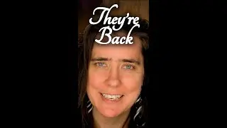 Daily ASMR Videos are Back!