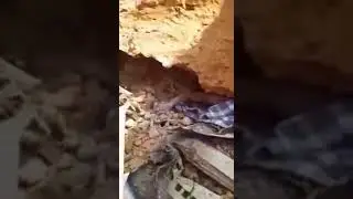 Grobogan berduka, brati purwodadi, pekerja batu kejatuhan batu longsoran.