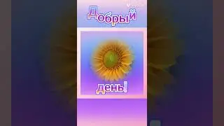 Добрые пожелания