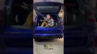 Бюджетные авто из США🇺🇸 миф или реальность?🧐 