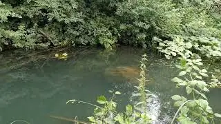 Рыбалка на Талой