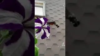 3 июня 2021 г.