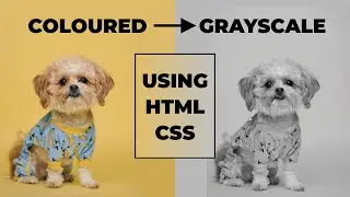 Black and White image on Mouse Hover with CSS | Grayscale Filter | HTML & CSS