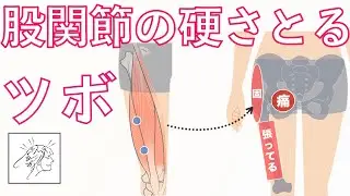 股関節（ソ径部）が痛い・硬いときにほぐしたいツボ