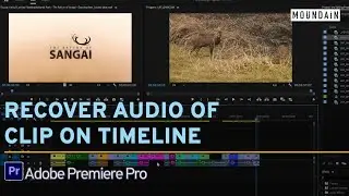 Recover audio or video of clip on timeline in Adobe Premiere Pro 