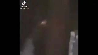 helicopter crash
