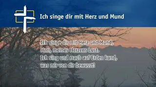 Ich singe dir mit Herz und Mund